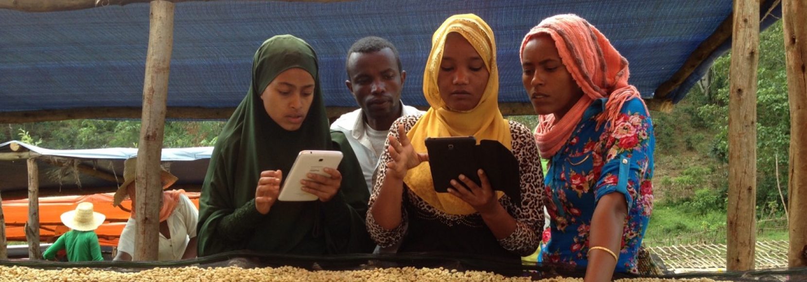 women-coffee-technology-ethiopia