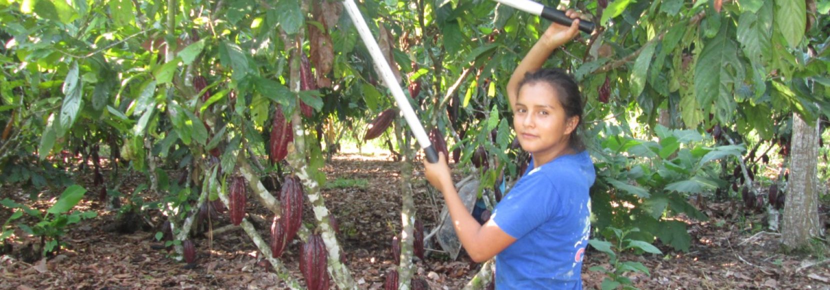 Dara-Obispo-woman-farmer-cacao-peru-amazon