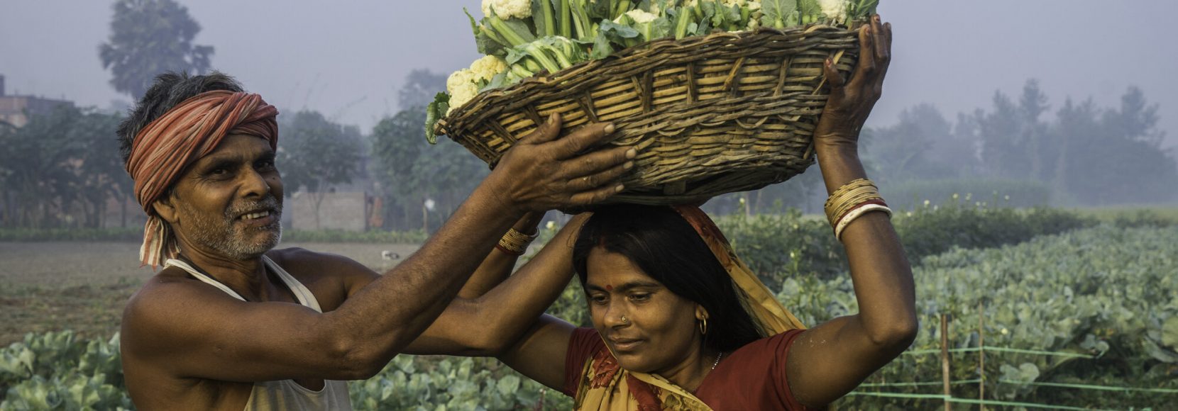 Vegetable farmer Geeta Devi in field.