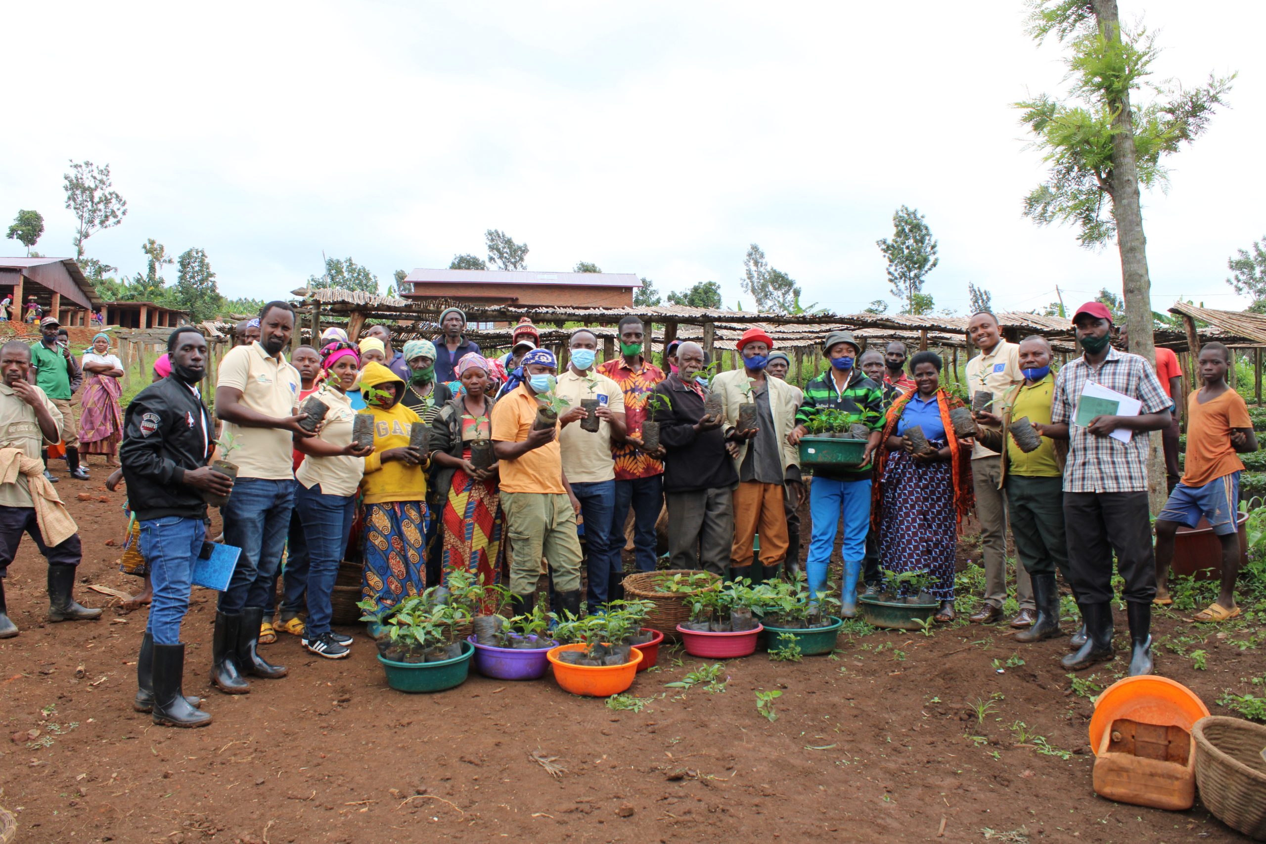 Sowing Seeds Of Hope In Rwanda - Technoserve