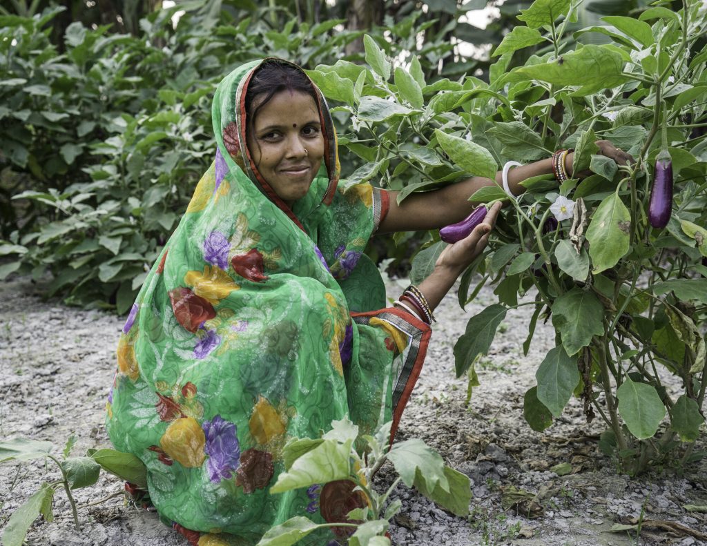 Vegetable farmer Sawan Kumari in India