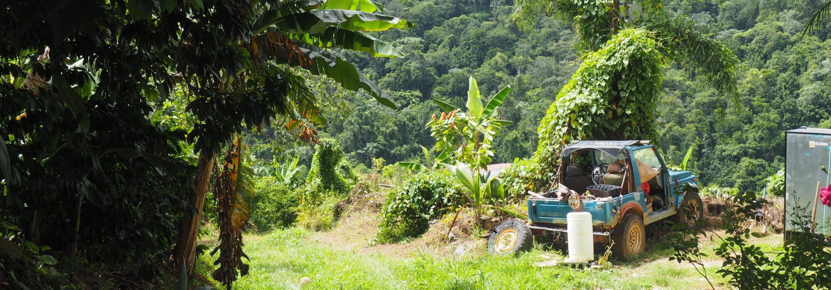 In 2022, Ashley Thompson visited several coffee farmers in Adjuntas, Puerto Rico to see their recovery since Hurricane Maria, which took place five years prior. The farmers included Agueda Ortiz, Rafael Rodriguez and his wife Joanna Rodriguez and their children Ariana Vanessa and Emily Rose, and Jose Roman.