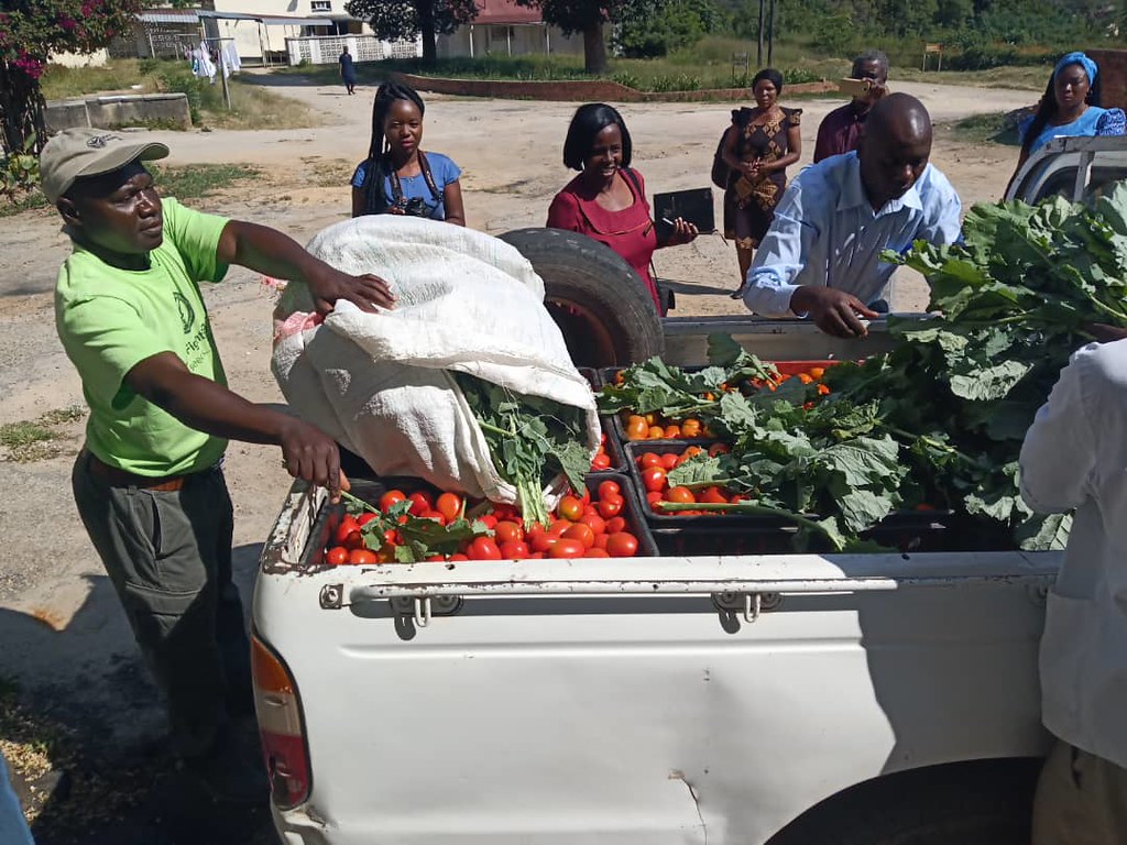 Delivering tomatoes and vegetables in Zimbabwe as part of a COVID-19 food aid relief program. Photo Credit- Carl Burkybile, Healing Hands International