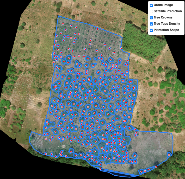 Polygon mapping is critical to support smallholder agro-forestry and ...