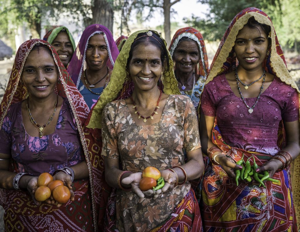 A group of women who are a part of Technoserve's kitchen garden program, pose for a group portrait in a kitchen garden in Bamanwali village, Bikaner, Rajasthan, India on October 24th, 2016. Non-profit organisation Technoserve works with farmer's wives in Bikaner, providing technical support and training for edible gardening, to improve the nutritional quality of their food and relieve financial stress on farming communities. Photograph by Suzanne Lee for Technoserve