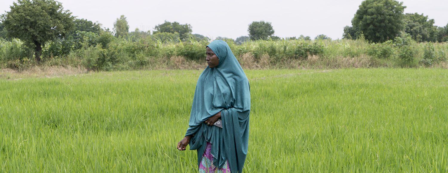 A farmer in northern Nigeria stands among her crops. COP28 outcomes blog post.