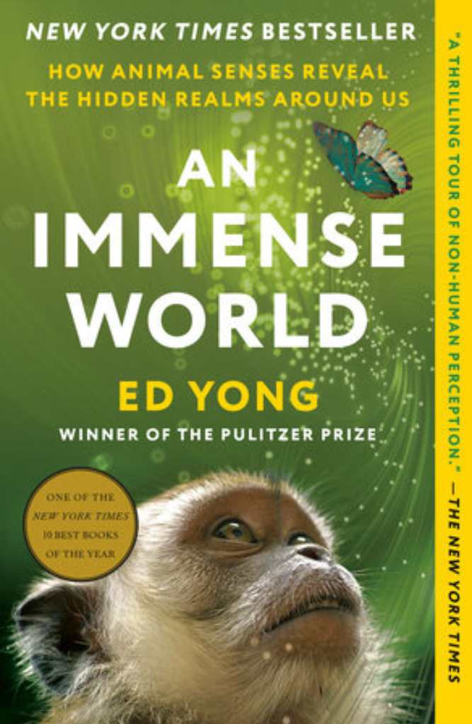 Immense-world-ed-young