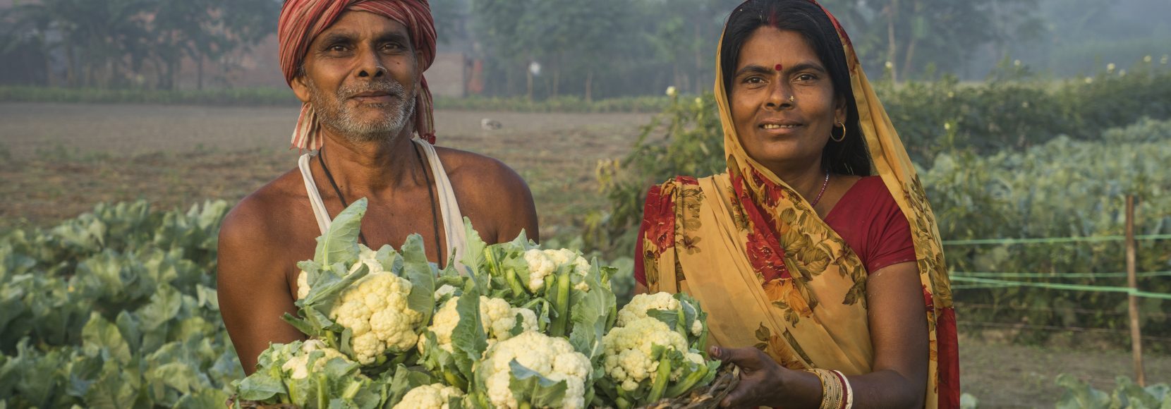 Two farmers in India stand in a field. Part of a blog post on COP28 outcomes.