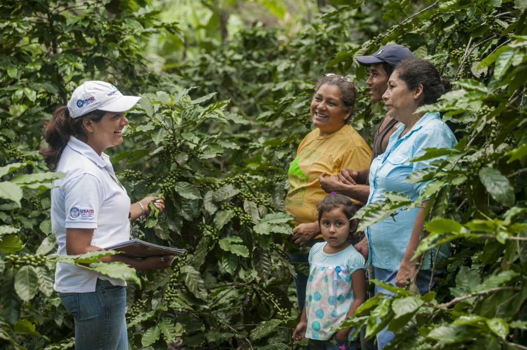 A training session with coffee farmers in Nicaragua. Photo by Douglas López for TechnoServe.