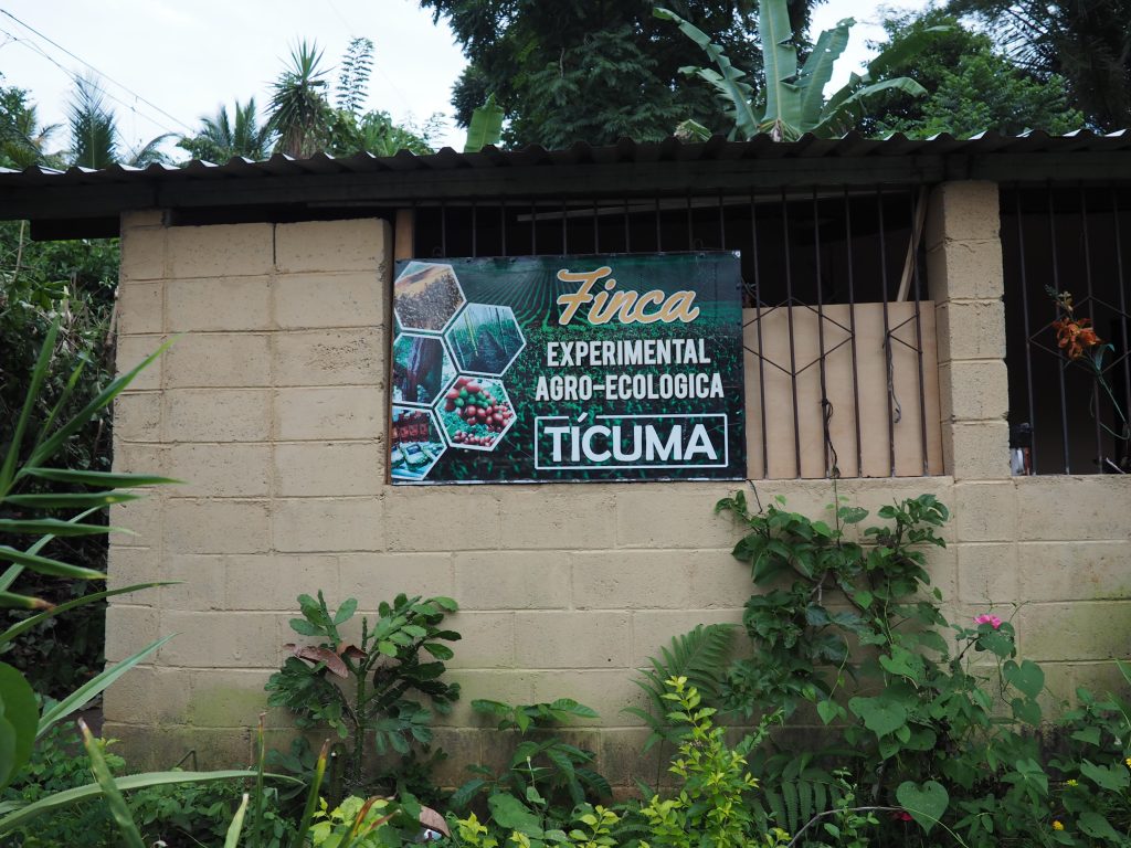 Benjamin Alas owns and operates Tícuma, an experimental agroecology farm in El Salvador. Photo by Julieta Ocampo Giraldo for TechnoServe. 