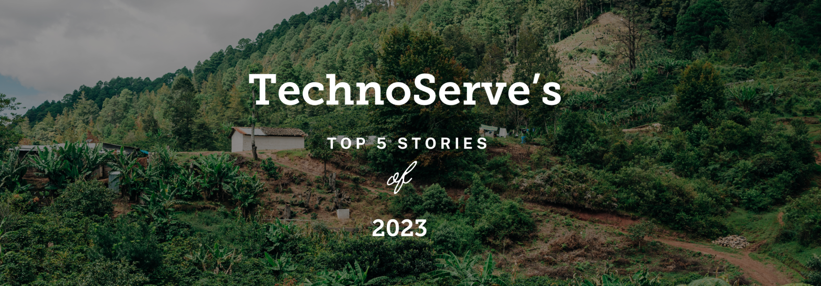 Graphic that reads: TechnoServe's Top 5 Stories of 2023.
