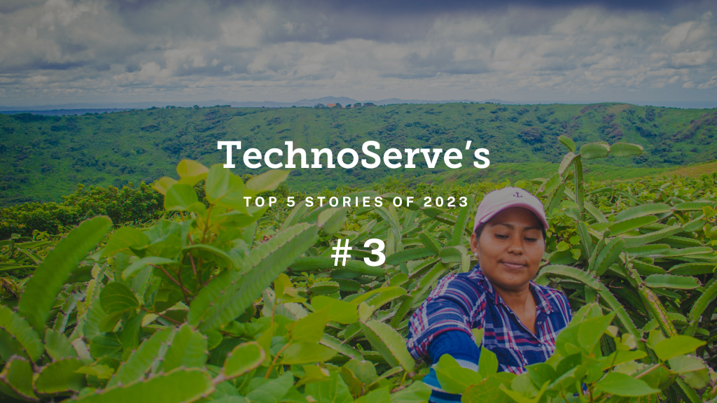 A graphic that reads: TechnoServe's Top 5 Stories of 2023 with an image in the background. 