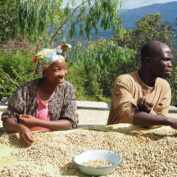 Two coffee farmers in Zimbabwe dry their coffee cherries. Part of TechnoServe's world news quiz.