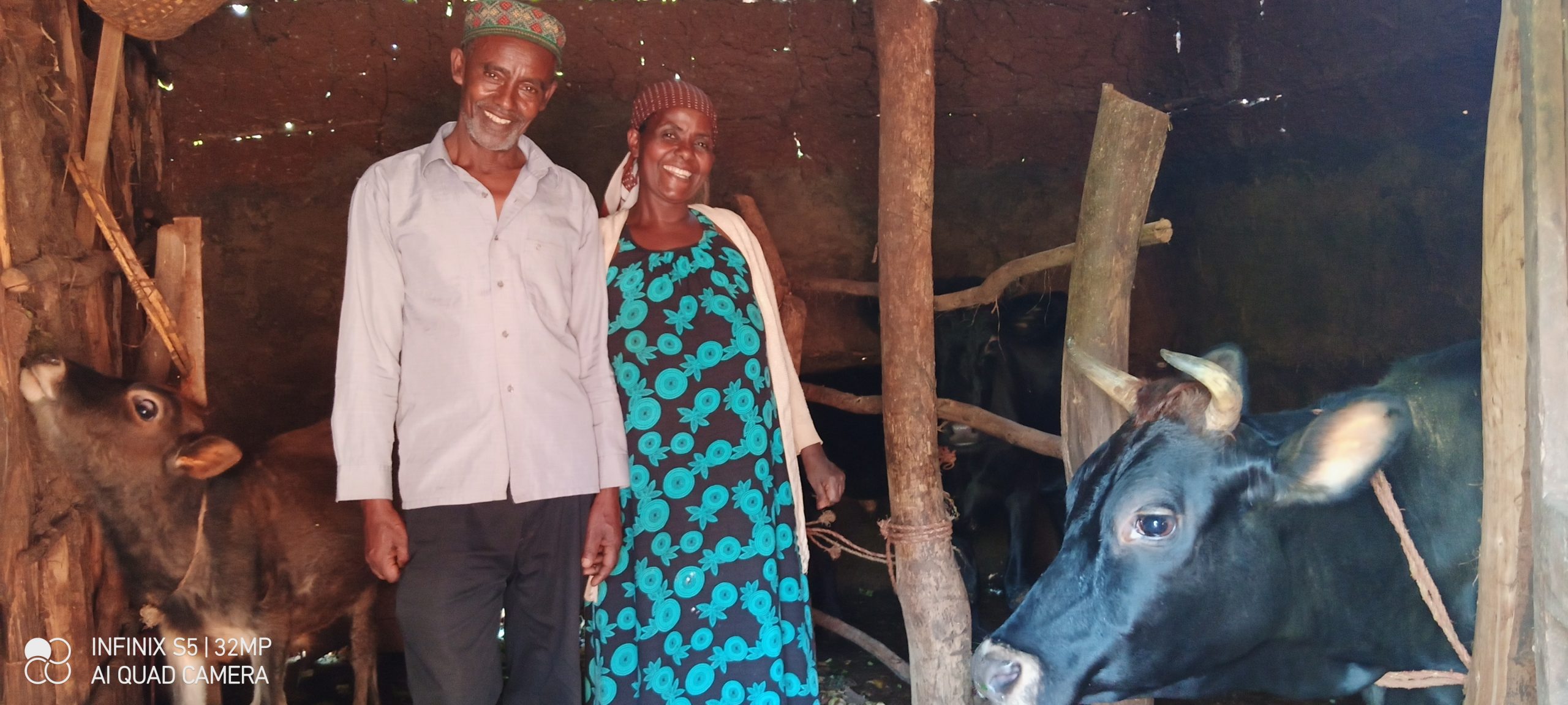 using better farm practices helped these two coffee farmers pose with the cows they purchased with their coffee income.