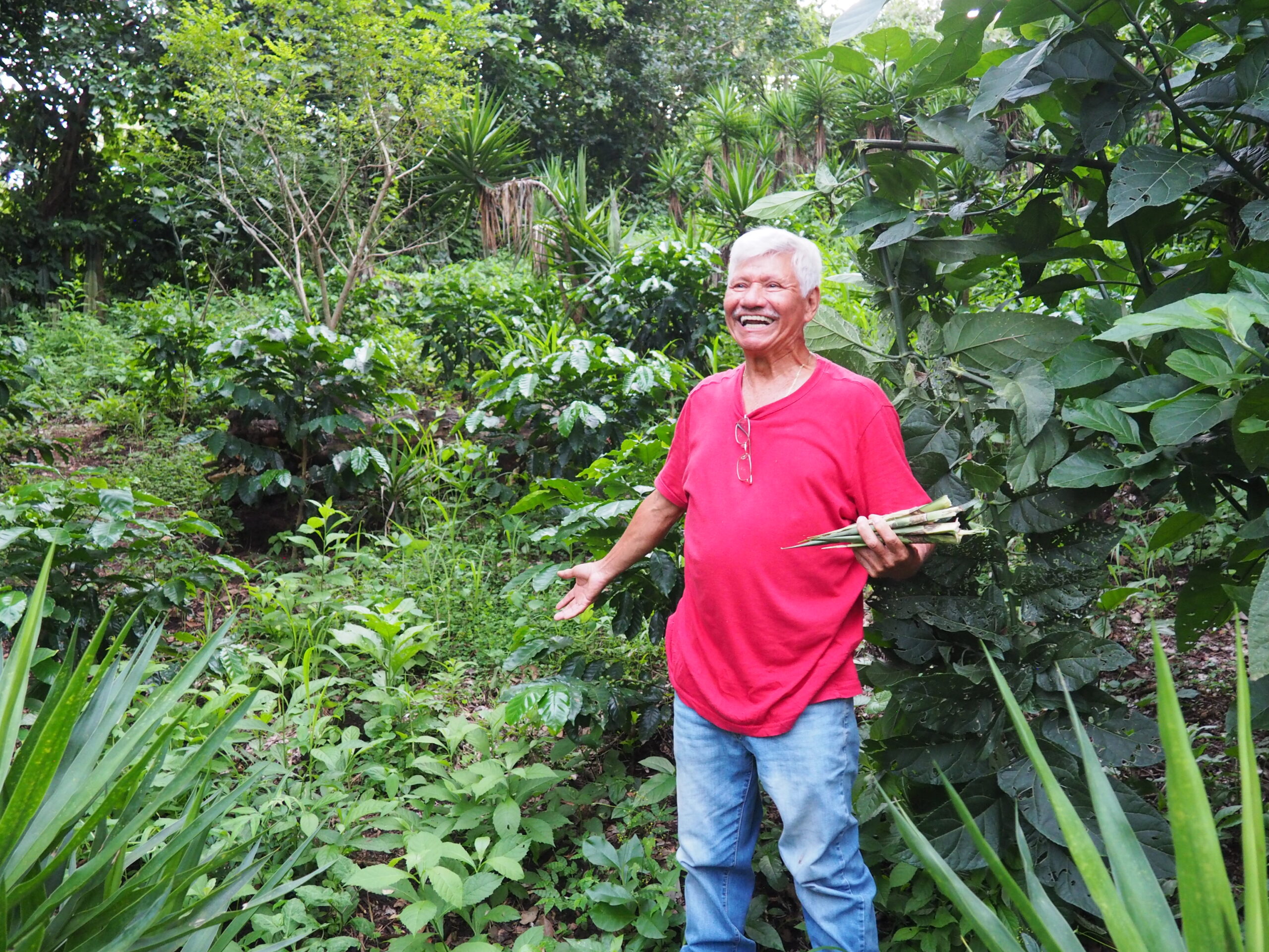 Benjamin Alas Ordoñez is a 69-year-old coffee farmer in Sacacoyo, La Libertad, El Salvador. Photo by Julieta Ocampo Giraldo for TechnoServe.