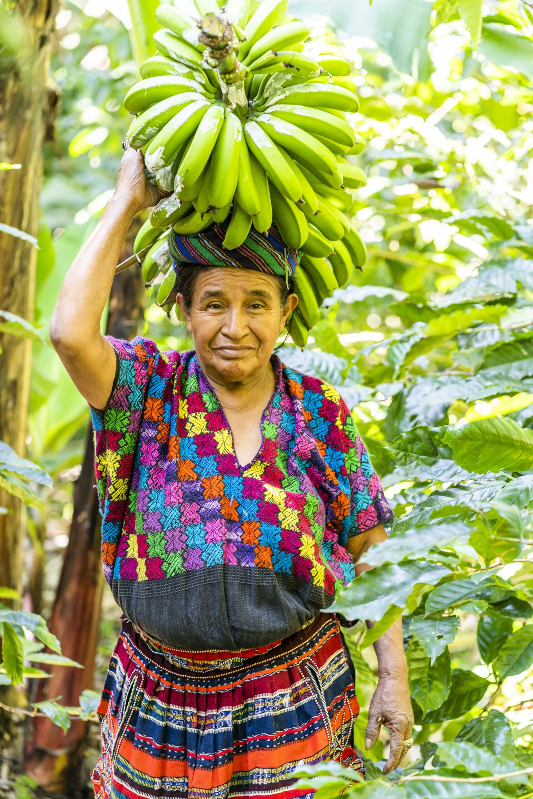 A farmer in Central America stands in a field with a bunch of bananas. Part of a blog post on international development terms to know. 