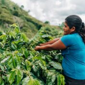Reyna Garcia is a successful coffee farmer in the MAS 2.0 program. Coffee farmers in the MAS+ program in Honduras. Part of TechnoServe's June news quiz.
