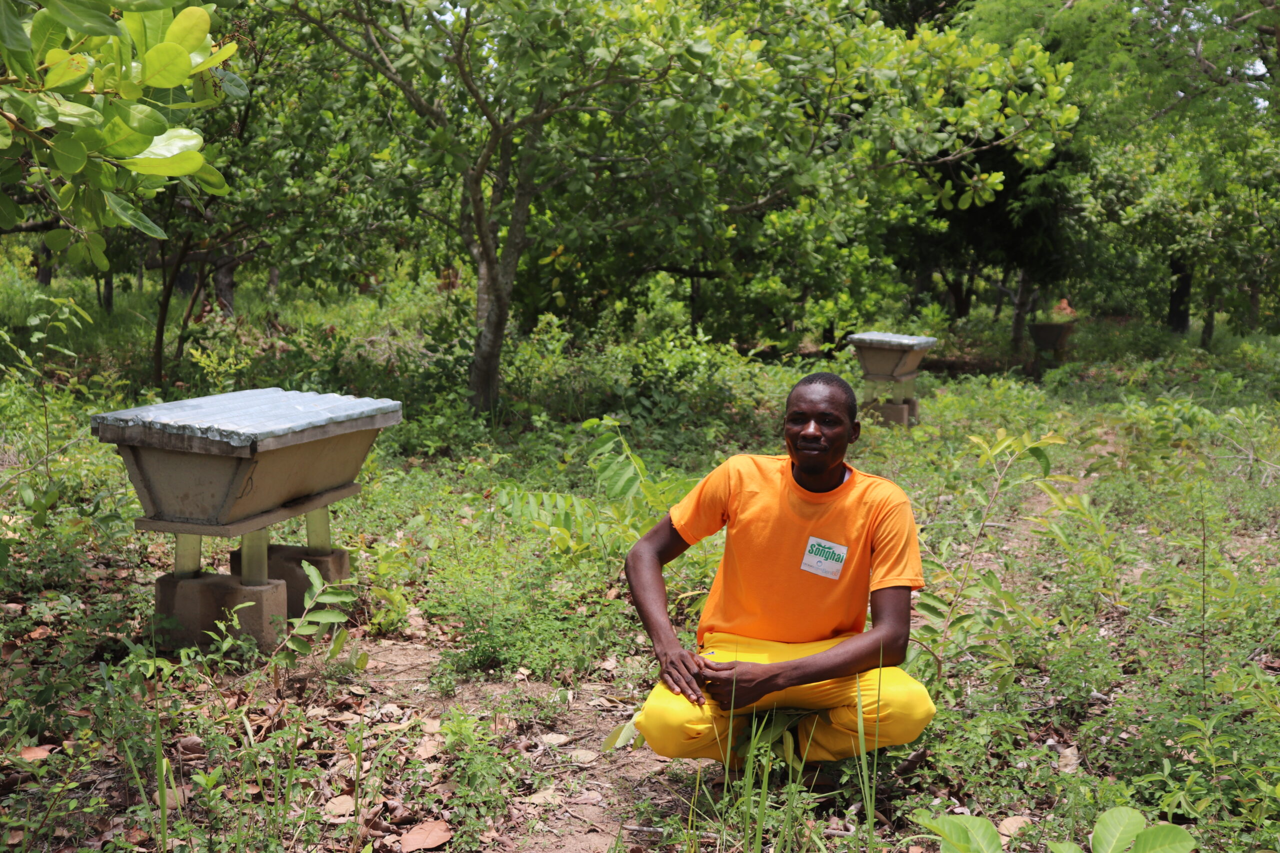 Baranon, wearing a bright orange shirt, kneels in a lush green field with bee hives in the background, showcasing his beekeeping efforts. (TechnoServe) Part of a blog post to support fathers. 