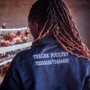 Golebilemang Kgosintwa inspects her poultry house in Botswana. Part of a blog post on women-led businesses in Africa.