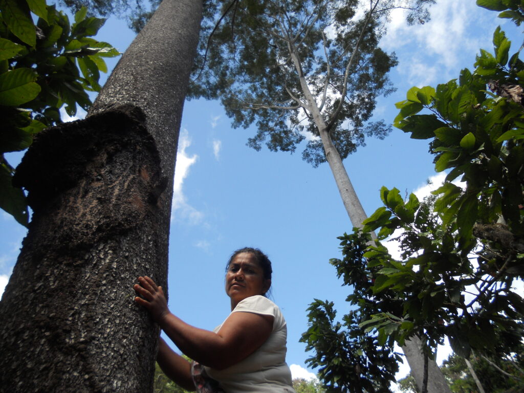 Woman standing beside a large tree, symbolizing strength and connection to nature in a forest environment.