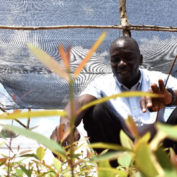 A man inspects his seedlings in northern Uganda. Part of a blog post on horticulture in Uganda.