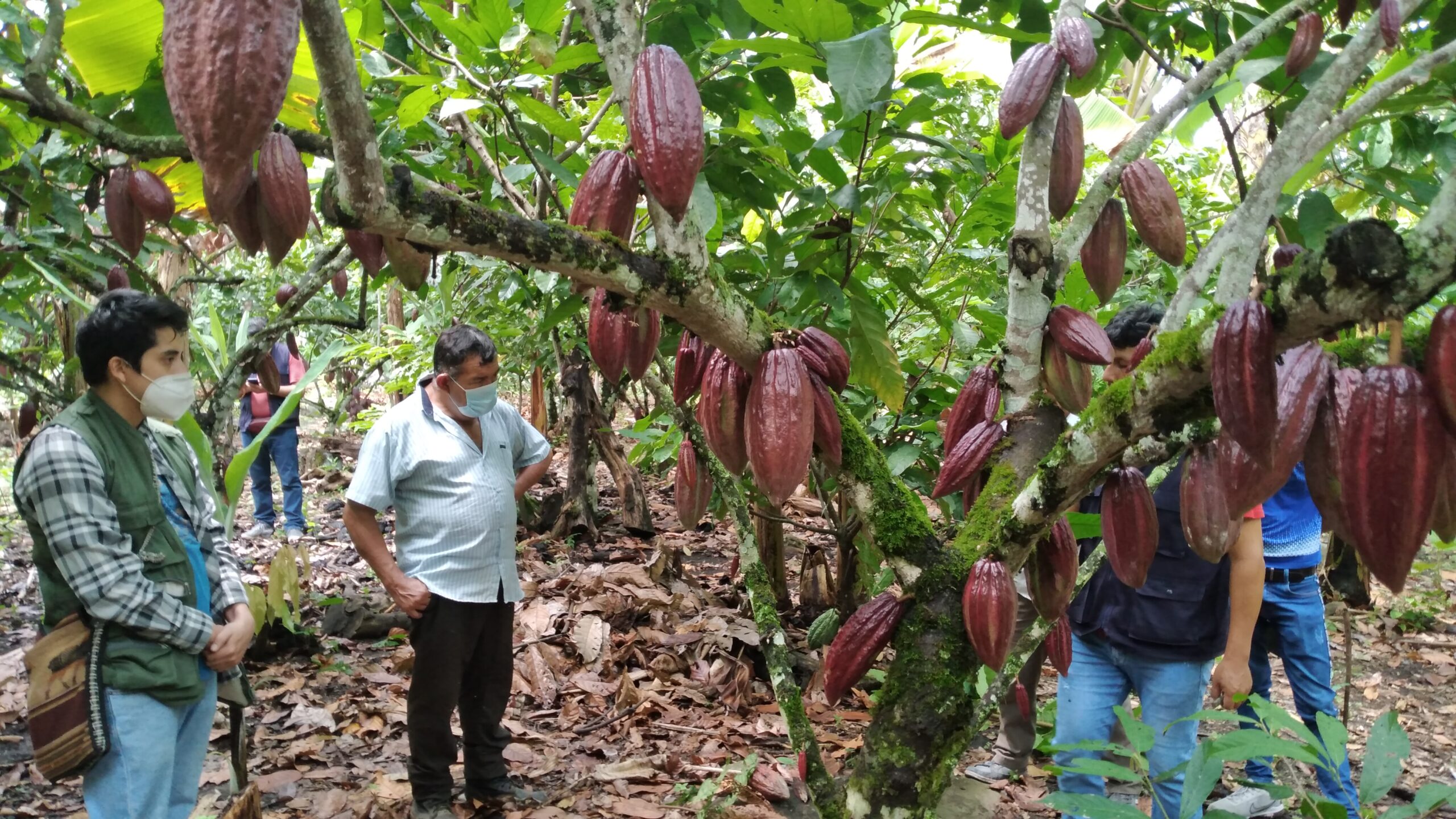 Empowering Cocoa Farmers: Photo of the Month