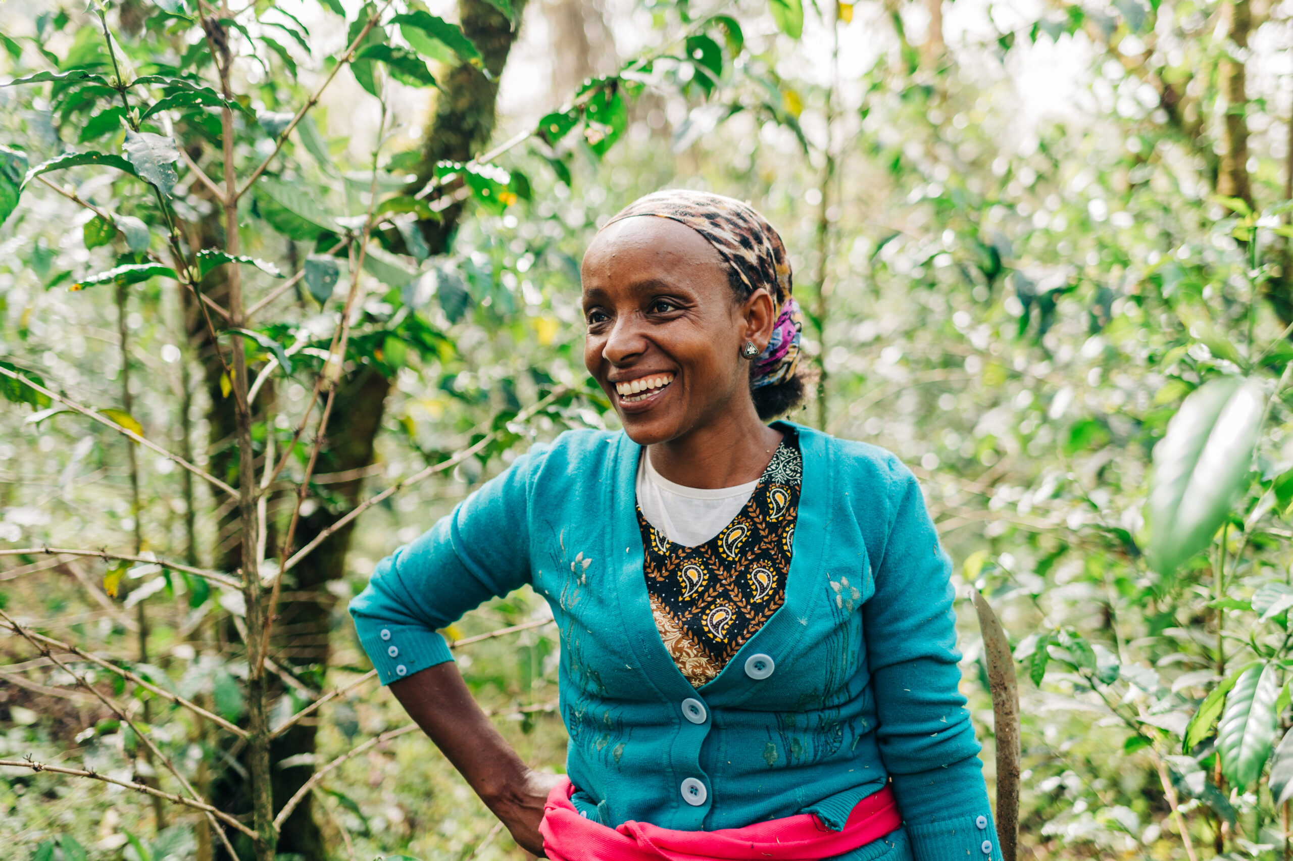 Breaking Ground: How Women Are Transforming Ethiopia’s Coffee Sector