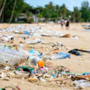 Plastic bottles and other trash on the beach.