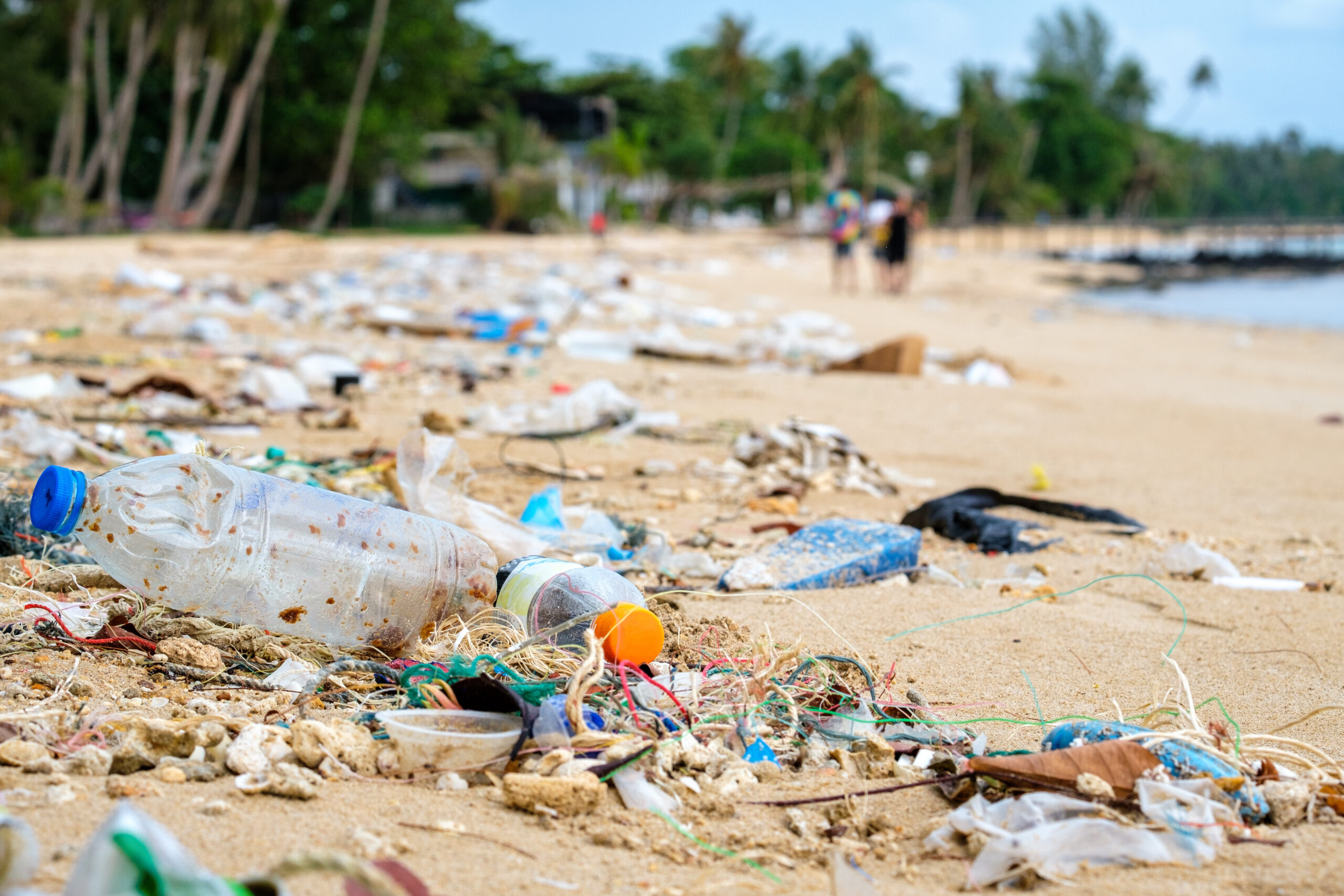 Sustainable Waste Solutions in Mombasa: Tackling Plastic Pollution