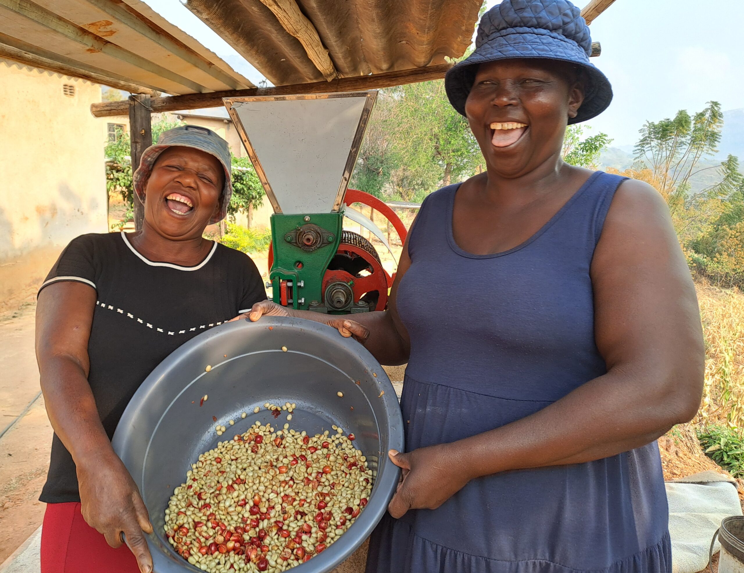 A Burden Lifted: How Coffee Pulpers Are Transforming Zimbabwe’s Farming Future