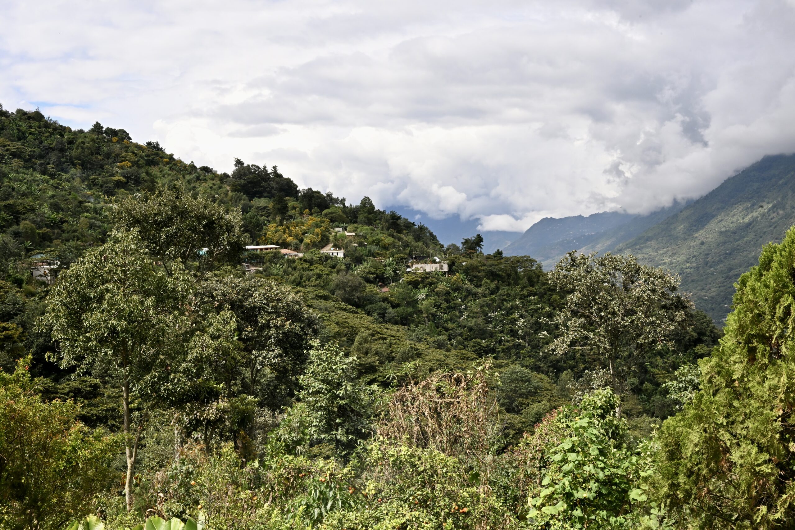 Photo Essay: Nurturing Coffee, Family, and Future in Guatemala’s Mountains