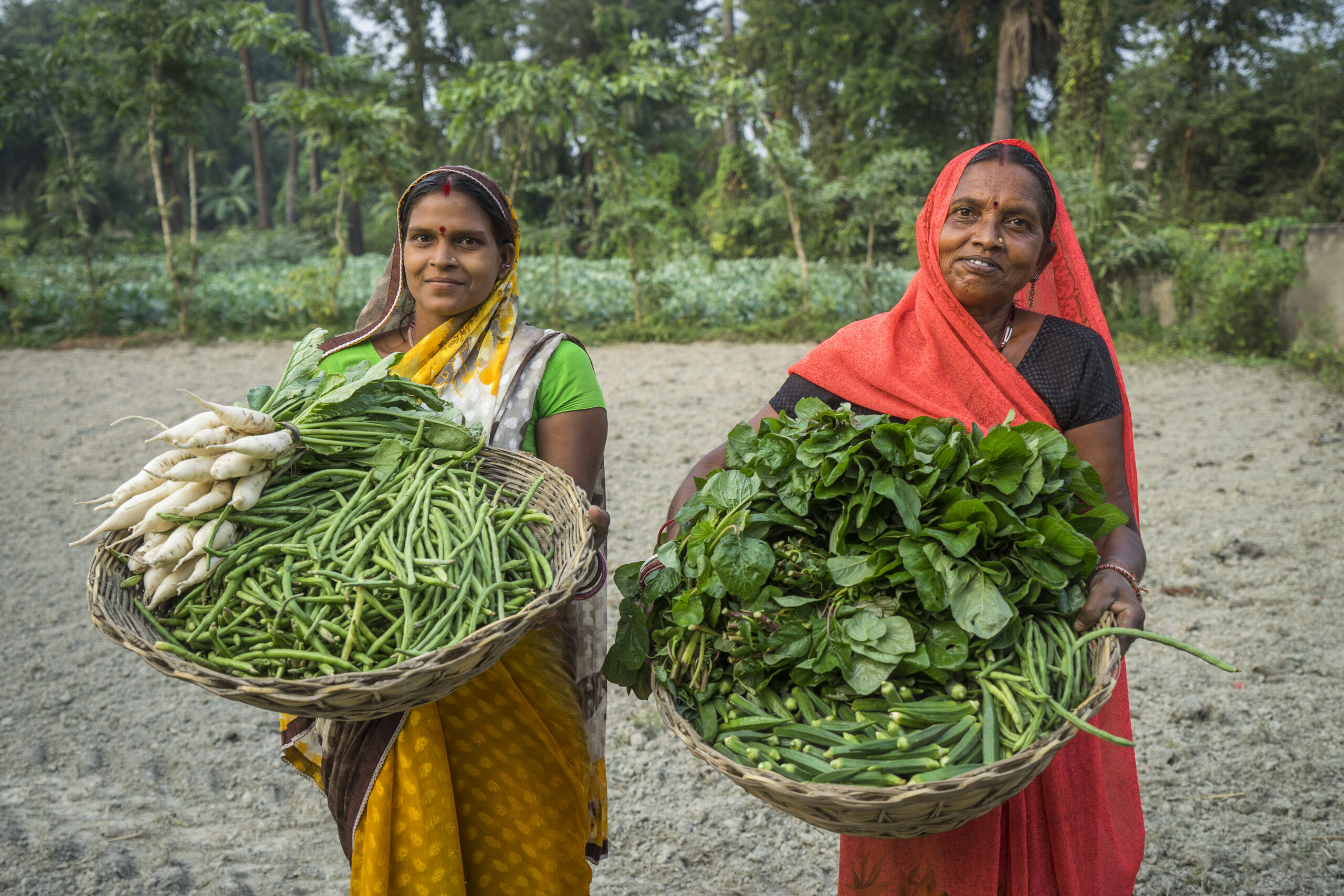 Understanding Food Systems: What You Need to Know